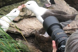 zo dichtbij konden we komen